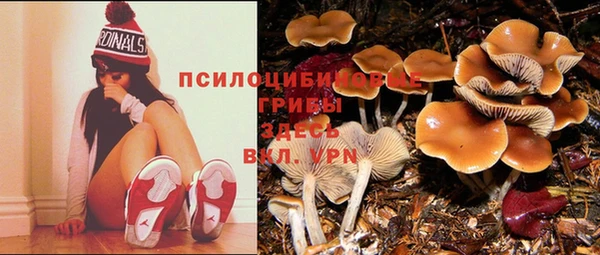 марки lsd Баксан