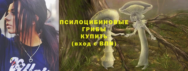 прущий лед Балахна