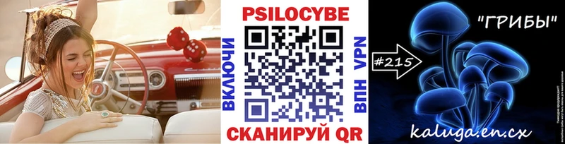 где можно купить наркотик  ОМГ ОМГ рабочий сайт  Псилоцибиновые грибы мухоморы  дарк нет состав  Верхняя Салда 
