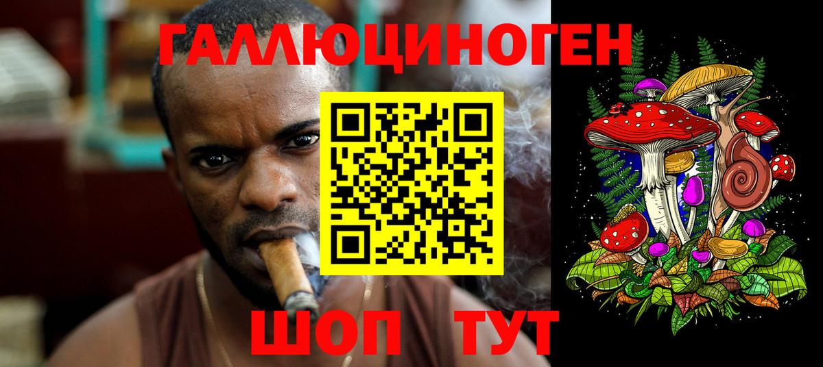 Псилоцибиновые грибы Psilocybine cubensis Верхняя Салда