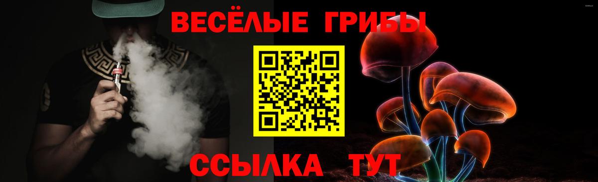 Верхняя Салда  Псилоцибиновые грибы прущие грибы  Вход с VPN 